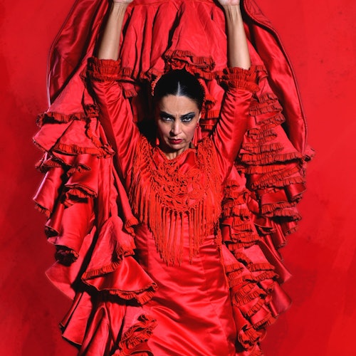 Madrid: Espectáculo Flamenco en el Teatro Flamenco
