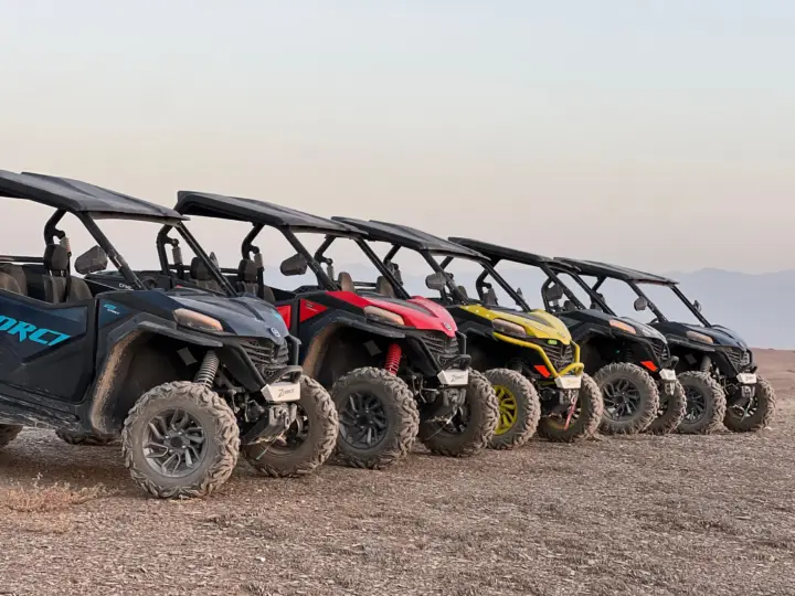 DAKHLA: buggy en las dunas con una hermosa vista panorámica