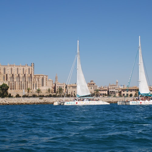 Mallorca: Catamaran Sailing Trip + Lunch or Dinner + Drinks