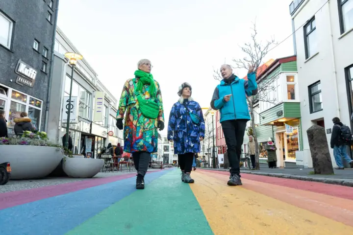 Reikiavik: tour turístico a pie con un vikingo