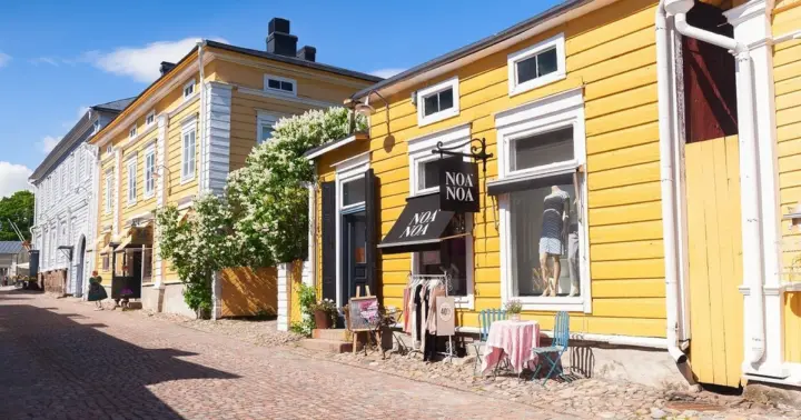 Desde Helsinki: Porvoo Tour turístico de medio día