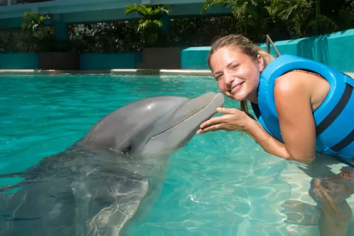 Cancún: entrada interactiva al acuario + baño con delfines Splash
