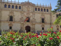 Excursión a Alcalá de Henares