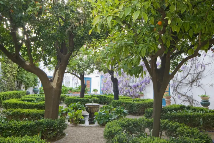 Córdoba: Ticket de entrada a los Jardines y Patios del Palacio de Viana