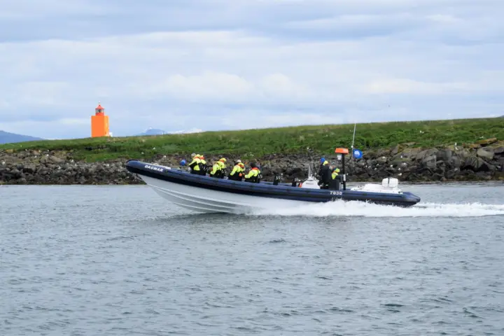 Reykjavik: Puffin Watching Tour by RIB Speedboat