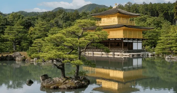 Kioto en autobús: Nijo, bosque de bambú y Fushimi Inari (EN/ES)