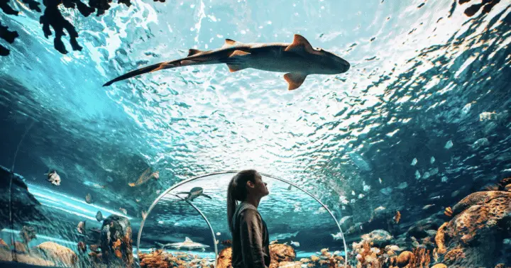 Toronto: Ripley's Aquarium of Canada Entry Ticket