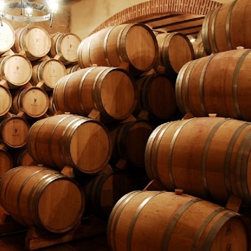 Alcalá de Henares: Visita Guiada a la Ciudad y Bodegas desde Madrid + Cata de Vinos