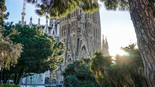 Barcelona guided tour with Sagrada Familia and Park Güell entry