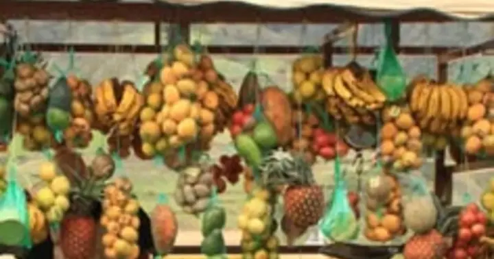 The sweetest fruit tour in Bogotá