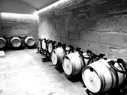 Visita a la bodega Hoplita