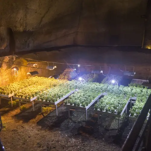 Naples Underground: Skip The Line Ticket + Guided Tour