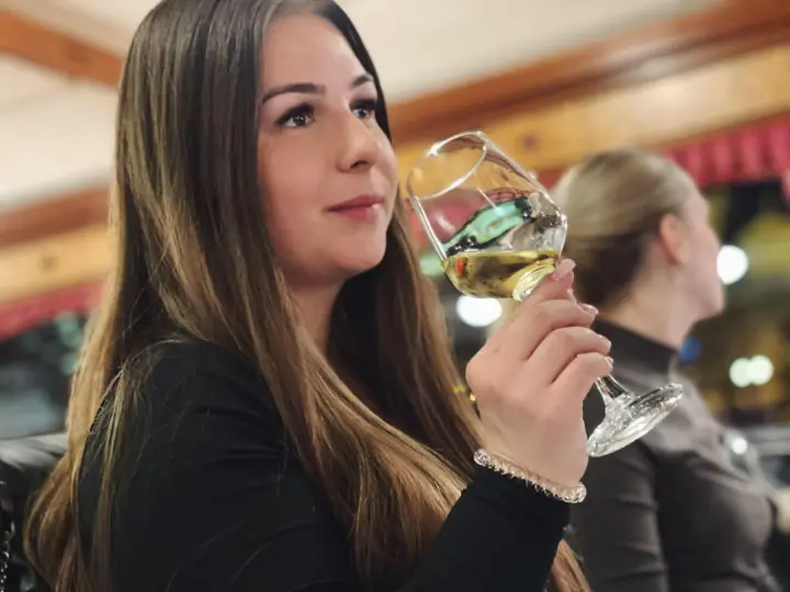 Budapest: Wine & Dine Cruise on the Danube