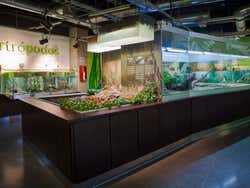 Tour por el Parque Explora y el Pueblito Paisa