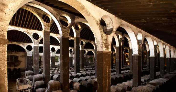 Cádiz: tour por Bodegas Barbadillo y cata de vino