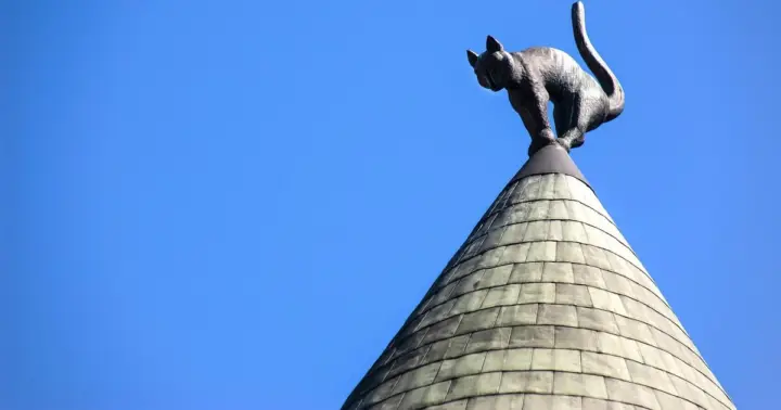 Riga: 1.5-Hour Old Town Walking Tour with a Local Guide