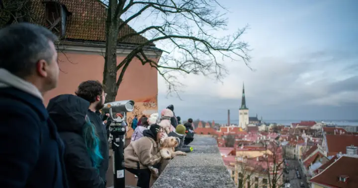 Tallin: recorrido a pie de 1,5 horas por el casco antiguo