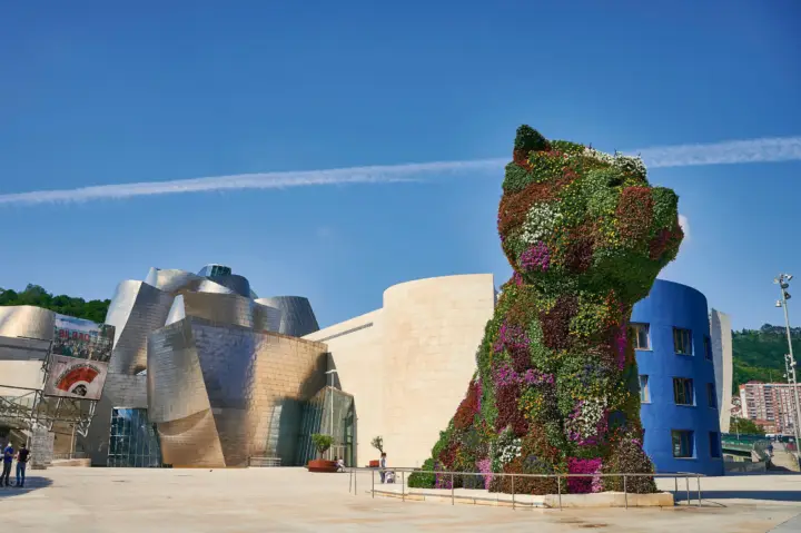 Visita guiada exterior y acceso Museo Guggenheim