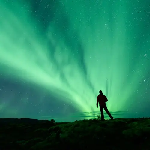 Northern Lights: 3-Hr Small Group Bus Tour + Transfer
