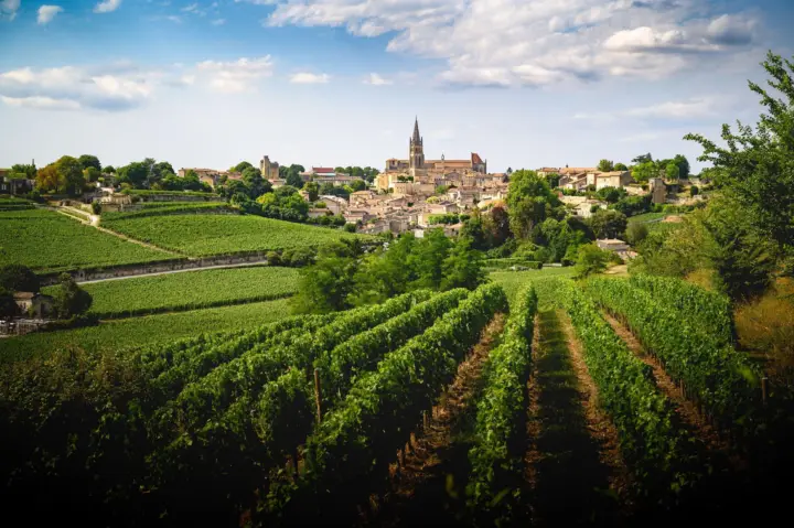 From Bordeaux: Half-Day Tour of Saint-Emilion with the Monolithic Church