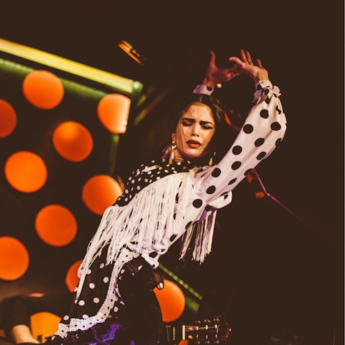 Los Tarantos Barcelona: Flamenco Show