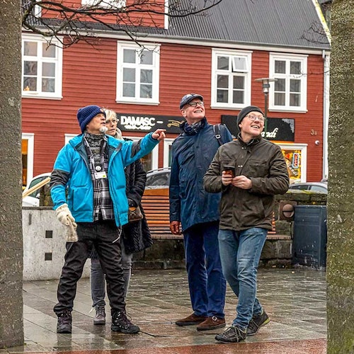 Reikiavik: Visita Privada a Pie