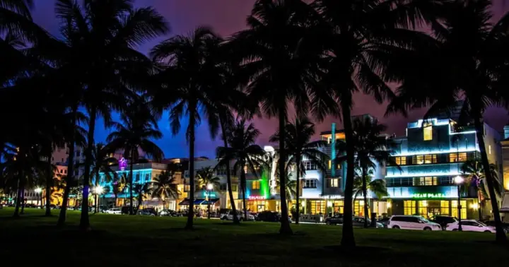 Miami by Night: City and Beach Lights Panoramic Tour