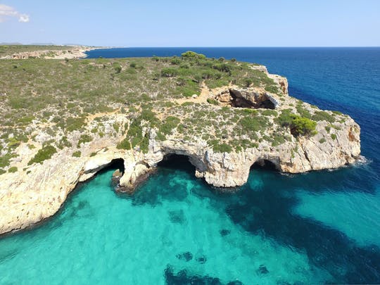 Excursiones en barco con fondo de cristal Moonfish Paradise