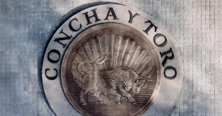 Desde Santiago: cata de vino Marqués de Concha y Toro (medio día)