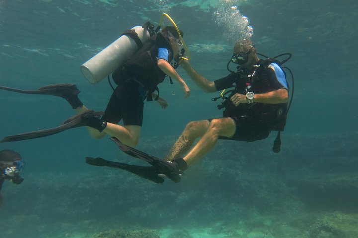 Mallorca: prueba el buceo en una hermosa reserva natural
