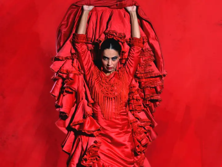 Málaga: Teatro Flamenco Málaga Espectáculo Flamenco en Vivo