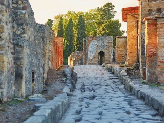 Visita guiada de día completo a Pompeya desde Roma con almuerzo