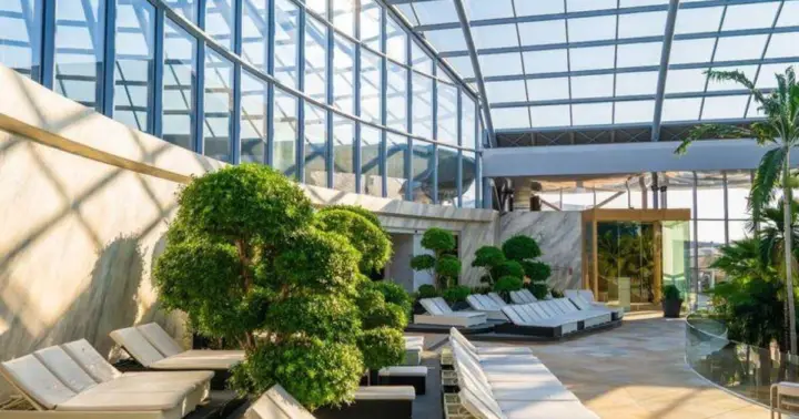 Bucharest: All Day Therme with Elysium Experience