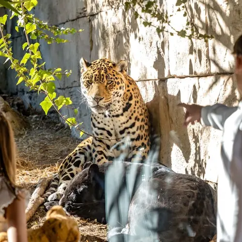 Terra Natura Benidorm: Pase de invierno