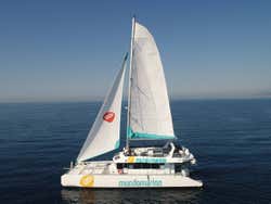 Paseo en catamarán por la bahía de Málaga