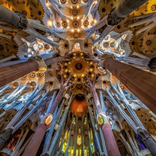 Sagrada Familia y Park Güell: Visita guiada