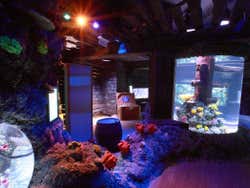 Entrada a SEA LIFE® Oporto