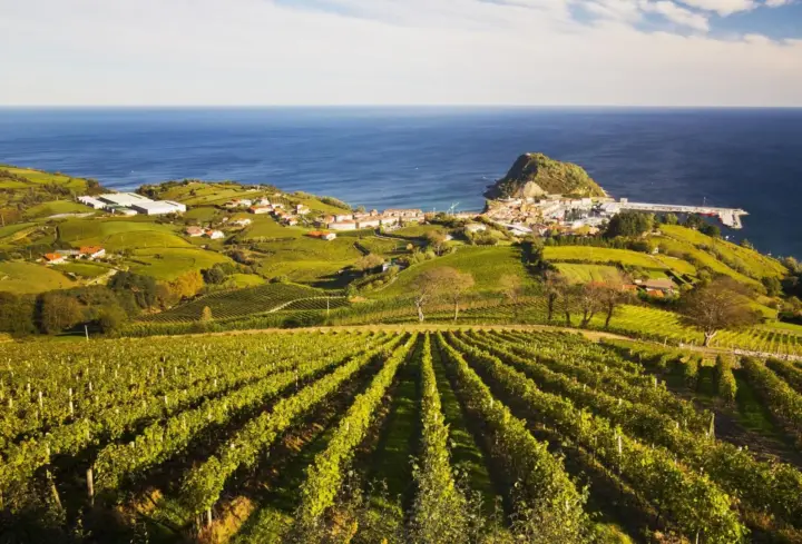 Cultura rural de San Sebastián: visita a un viñedo y ruta de senderismo por una finca