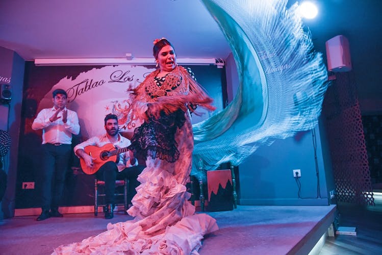 Tour de Flamenco, Tapas y Vino en Málaga