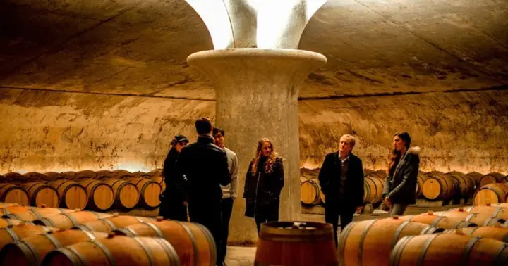 Bordeaux: St-Emilion and Medoc Wine Day Tour with Lunch