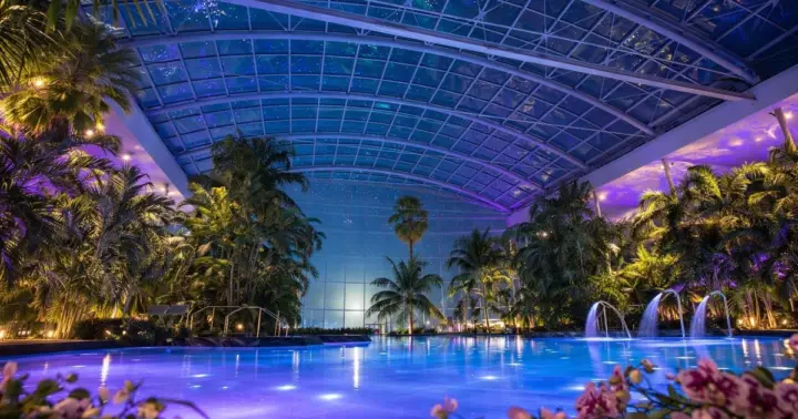 Bucharest: Therme Night Show Ticket with Transfer