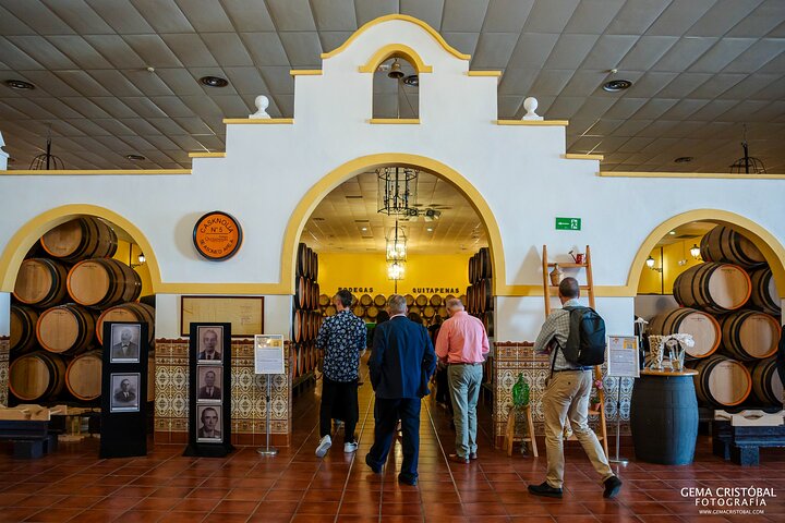Visita la Bodega Más Antigua de Málaga y Cata de Vinos
