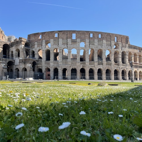 Coliseo, Arena, Zona subterránea, Foro Romano y Palatino + Tour guiado