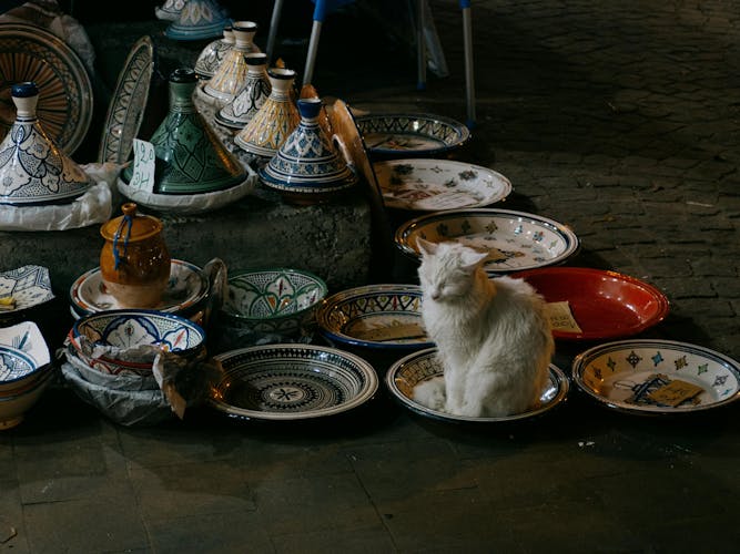 Excursión de día completo a Agadir desde Marrakech