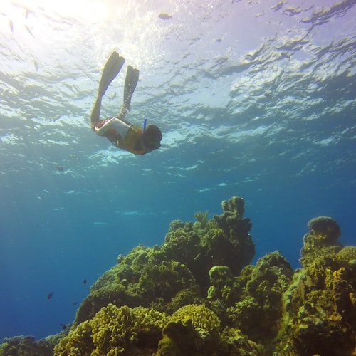 Arrecife Palancar, El Cielo y Parque Playa KUZÁ: Excursión de snorkel desde Cozumel