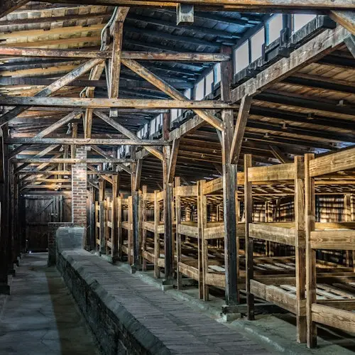Auschwitz-Birkenau y Mina de sal de Wieliczka: Tour guiado + Transporte