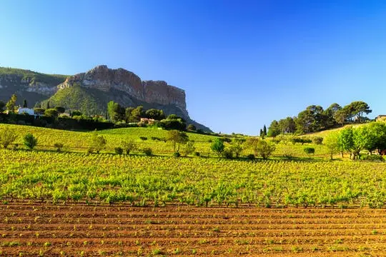 Ruta del vino en Bandol y Cassis desde Marsella