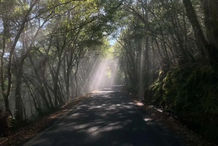Excursión a la Ribeira Sacra