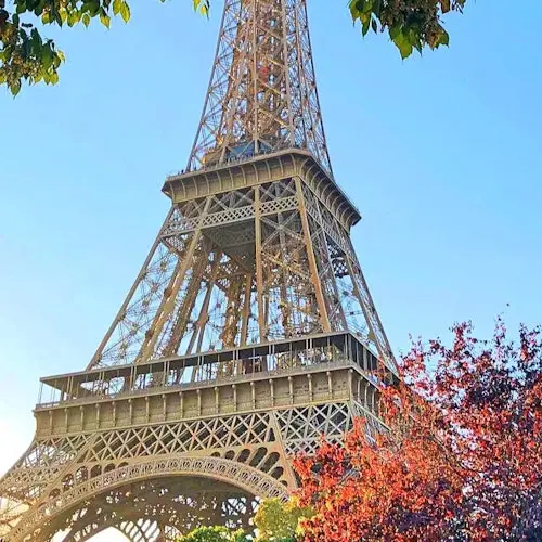 Eiffel Tower: Reserved Entry + 2nd Floor and Summit Option