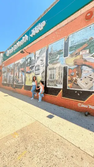 New York: Contrasts Tour Harlem to Brooklyn